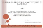 Controles Tecnicos Mamposteria en Ladrillo