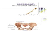 Osteología - MMII