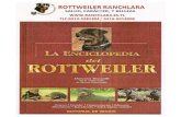 Enciclopedia Ilustrada Rottweiler (1)