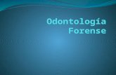 1 Odontología Forense