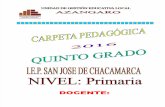 Careta Pedagógica-2016