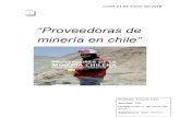 Proveedoras de Minería en Chile