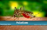 Paludismo (parásitos infectante)