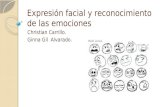 Expresión Facial y Reconocimiento de Las Emociones