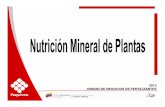 Modulo Nutrición Mineral