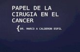 Oncología - Papel de La Cirugía en El Cáncer