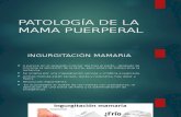 Patología de La Mama Puerperal