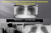 curs 1 pulm