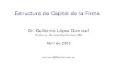 Estructura Capital de La Firma