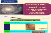 1- Materia Viva - 2013