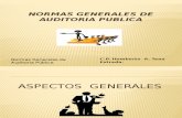 Presentación de Normas Generales de Auditoria Publica Final