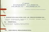 Tema 5. Caso Llanos Huasco Eusebio Exponer (1)