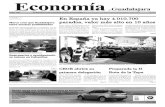 Periódico Economía de Guadalajara #23 Abril 2009