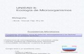 7-ecologia de los microorganismos 39485857489399938877566483