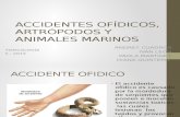 Accidentes Ofídico Artrópodo y Animales Marinos