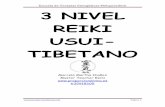 Manual Tercer Nivel Reiki Usui-tibetana Definitivo