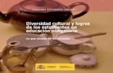 Diversidad Cultural Logros Mec 2010