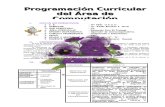 programación curricular computación 6°