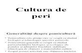 Cultura de Peri
