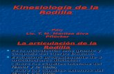 Kinesiología de La Rodilla