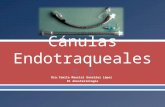 Cánulas Endotraqueales
