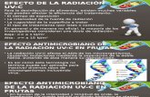 Efecto de La Radiación Uv-c