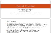 Atrial Flutter Presentasi
