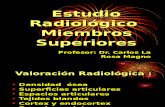 Estudio Radiologico Miembros Superiores 2015.