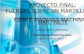 Proyecto Final - Fisica 1