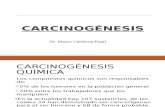 Oncología - Carcinogénesis II