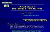 Copia de Clase 1 Anatomía y Fisiología de La Piel.ppt