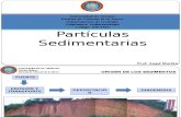 TEMA 2 Partículas Sedimentarias