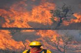 Fotos Incendios