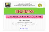 Clase 3 Enzimas 2011 Prof Ra 25-03