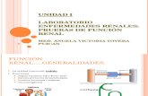 Laboratorio Clínico - Enfermedades Renales
