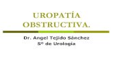 420 2014-02-24 Uropatia Obstructiva Ppt