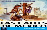 Las Calles de Mexico - Luis Gonzalez Obregon