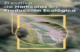 Cultivos Horticolas en Ecoloxico