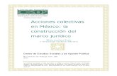 Acciones Colectivas Mexico Docto120 (1)