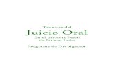 Juicio Oral, Tecnicas Del, Nuevo Leon