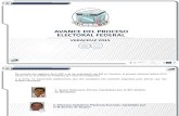 Avance Del Proceso Electoral Federal en Veracruz