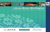 Linea Base Biológica | Corredor de Conservación Manu - Tambopata