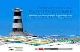 Plan de Sitio de Punta Coles
