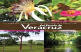 Biodiversidad Estrategia Veracruz