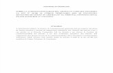 Informe en Derecho (Binder, Hidalgo y Ocaranza)