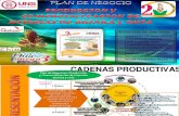 Plan de Negocio-hojuelas de Quinua y Chia Final de Finales