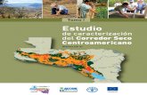 Tomo I Estudio de Caracterización Del Corredor Seco Centroamericano