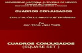 Exposicion de Minas Subterraneas; CUADROS CONJUGADOS