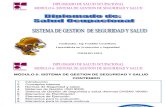 Sistema de Gestion de Seguridad y Salud Laboral -Ocupacional- OHSAS 18001