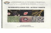biomagnetismo prueba cientifica.pdf